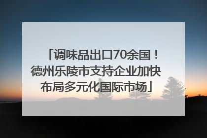 调味品出口70余国！德州乐陵市支持企业加快布局多元化国际市场