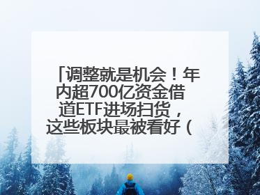 调整就是机会！年内超700亿资金借道ETF进场扫货，这些板块最被看好（附名单）
