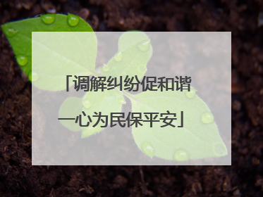 调解纠纷促和谐 一心为民保平安
