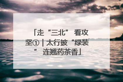 走“三北” 看攻坚①｜太行披“绿装” 连翘药茶香