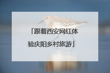 跟着西安网红体验庆阳乡村旅游