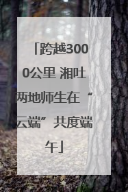 跨越3000公里 湘吐两地师生在“云端”共度端午