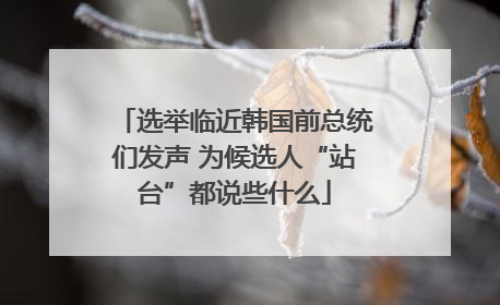 选举临近韩国前总统们发声 为候选人“站台”都说些什么