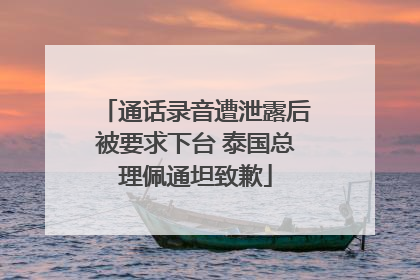 通话录音遭泄露后被要求下台 泰国总理佩通坦致歉