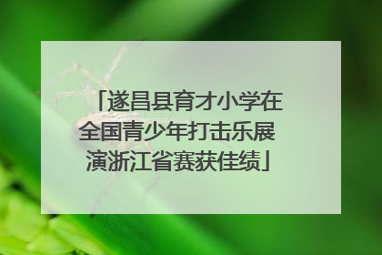 遂昌县育才小学在全国青少年打击乐展演浙江省赛获佳绩