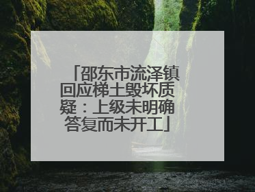 邵东市流泽镇回应梯土毁坏质疑：上级未明确答复而未开工