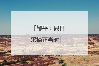 邹平：夏日采摘正当时