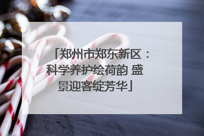 郑州市郑东新区：科学养护绘荷韵 盛景迎客绽芳华