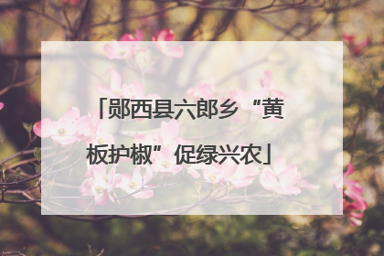 郧西县六郎乡“黄板护椒”促绿兴农