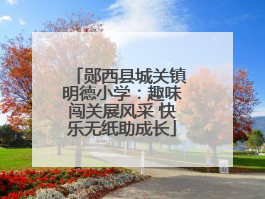 郧西县城关镇明德小学：趣味闯关展风采 快乐无纸助成长