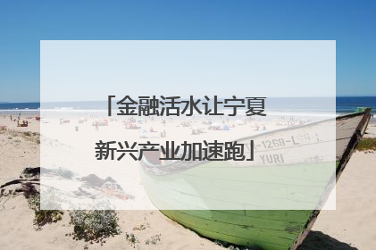 金融活水让宁夏新兴产业加速跑
