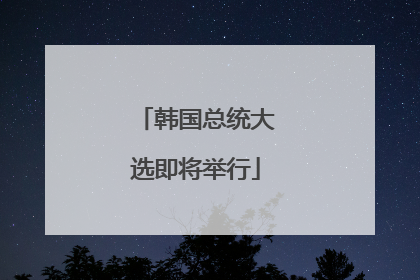 韩国总统大选即将举行