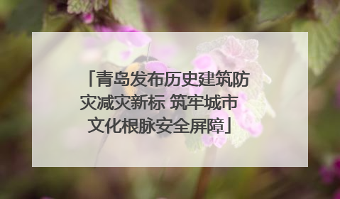 青岛发布历史建筑防灾减灾新标 筑牢城市文化根脉安全屏障