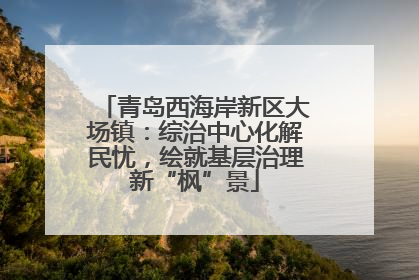 青岛西海岸新区大场镇：综治中心化解民忧，绘就基层治理新“枫”景
