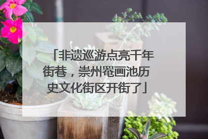 非遗巡游点亮千年街巷，崇州罨画池历史文化街区开街了
