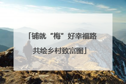 铺就“梅”好幸福路 共绘乡村致富图