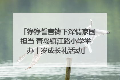 铮铮誓言铸下深情家国担当 青岛镇江路小学举办十岁成长礼活动
