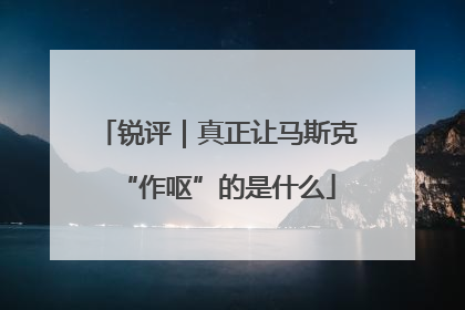 锐评｜真正让马斯克“作呕”的是什么