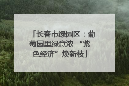 长春市绿园区：葡萄园里绿意浓 “紫色经济”焕新枝