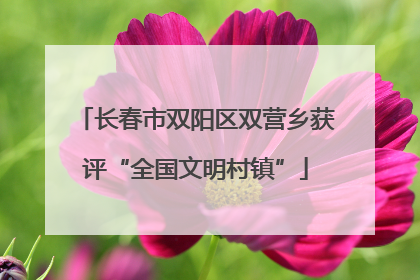 长春市双阳区双营乡获评“全国文明村镇”