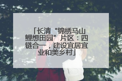 长清“锦绣马山 鲤想田园”片区：四链合一，建设宜居宜业和美乡村