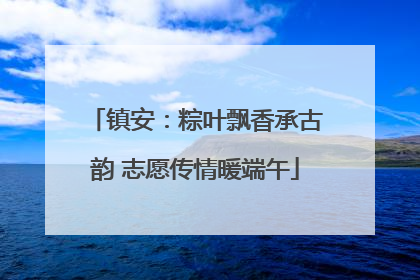 镇安：粽叶飘香承古韵 志愿传情暖端午
