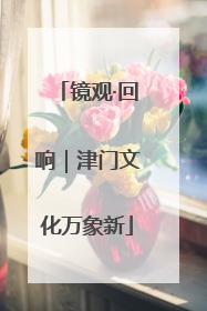 镜观·回响｜津门文化万象新