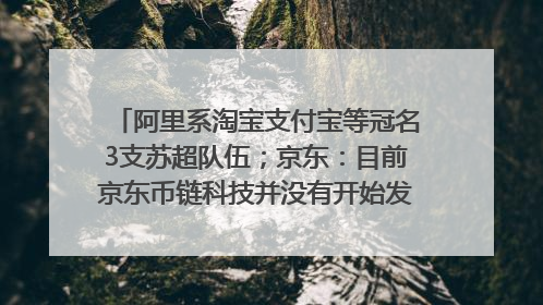 阿里系淘宝支付宝等冠名3支苏超队伍；京东：目前京东币链科技并没有开始发行稳定币｜早资道
