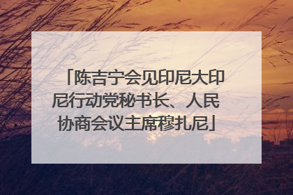 陈吉宁会见印尼大印尼行动党秘书长、人民协商会议主席穆扎尼
