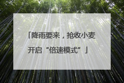 降雨要来，抢收小麦开启“倍速模式”
