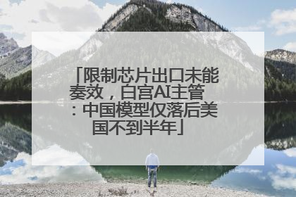 限制芯片出口未能奏效，白宫AI主管：中国模型仅落后美国不到半年