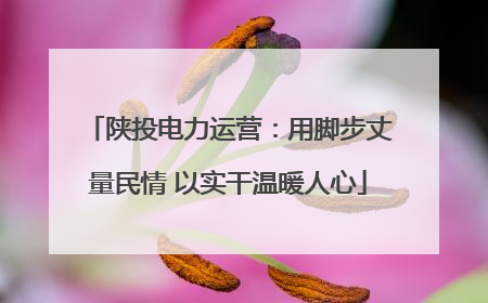 陕投电力运营：用脚步丈量民情 以实干温暖人心