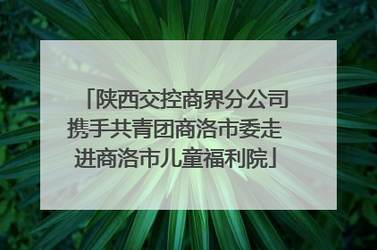 陕西交控商界分公司携手共青团商洛市委走进商洛市儿童福利院