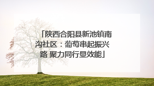 陕西合阳县新池镇南沟社区：葡萄串起振兴路 聚力同行显效能