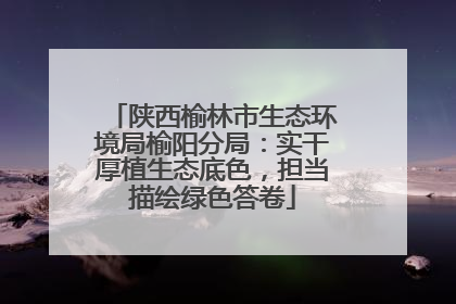 陕西榆林市生态环境局榆阳分局：实干厚植生态底色，担当描绘绿色答卷