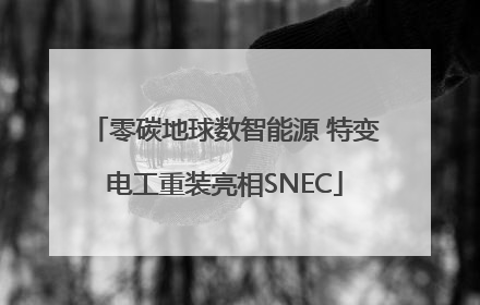 零碳地球数智能源 特变电工重装亮相SNEC