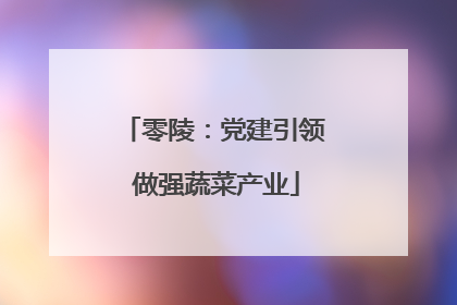 零陵：党建引领 做强蔬菜产业
