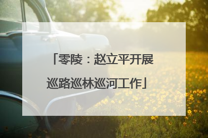 零陵：赵立平开展巡路巡林巡河工作