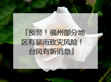 预警！福州部分地区有暴雨致灾风险！台风有新消息