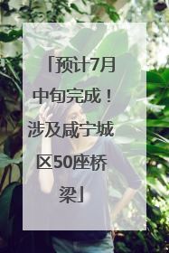 预计7月中旬完成！涉及咸宁城区50座桥梁