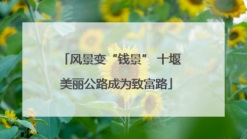 风景变“钱景” 十堰美丽公路成为致富路