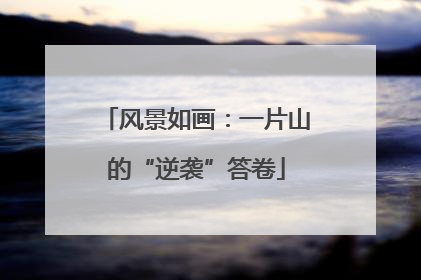 风景如画：一片山的“逆袭”答卷