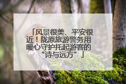 风景很美、平安很近！陇原旅游警务用暖心守护托起游客的“诗与远方”