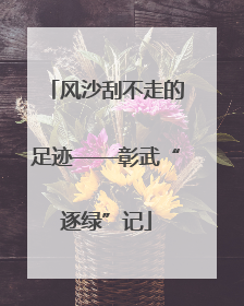 风沙刮不走的足迹——彰武“逐绿”记