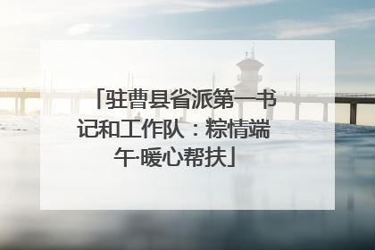 驻曹县省派第一书记和工作队：粽情端午·暖心帮扶