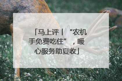 马上评丨“农机手免费吃住”，暖心服务助夏收