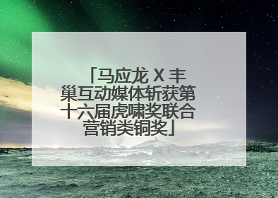 马应龙 X 丰巢互动媒体斩获第十六届虎啸奖联合营销类铜奖