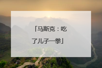 马斯克：吃了儿子一拳