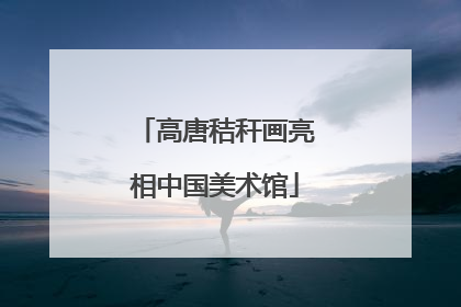 高唐秸秆画亮相中国美术馆
