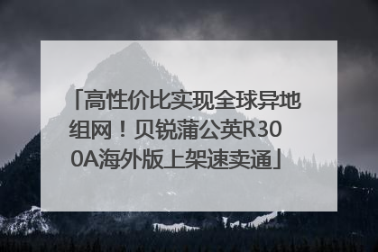高性价比实现全球异地组网！贝锐蒲公英R300A海外版上架速卖通